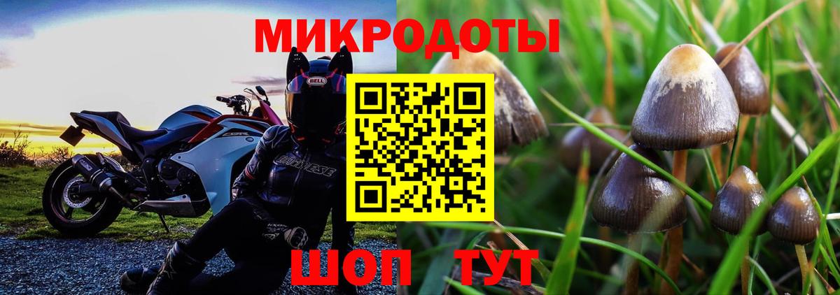 Заинск  Галлюциногенные грибы ЛСД  Вход с VPN 