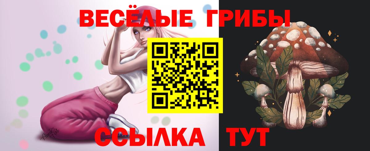 Галлюциногенные грибы Magic Shrooms Заинск